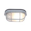 Foto para 60w Nauticus E-26 A-19 Incandescent Satin Frosted Wet Location Bulkhead 8.25"x4.25" (CAN 8"x4.4"x1")