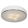 Foto para 300w (4 x 75) Aero E-26 A-19 Incandescent Damp Location Chrome Opal Flush Mount (CAN 0.5"Ø13")