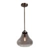 Foto para 60w Flux E-26 ST-18 Incandescent Dry Location Distressed Bronze Smoke Vintage Lamped Pendant 15.25"Ø13" (CAN 0.75"Ø4.75")