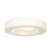 Foto para 120w (2 x 60) Altum E-26 A-19 Incandescent Damp Location White Opal Flush-Mount (CAN 1"Ø10")