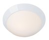 Foto para 120w (2 x 60) Cobalt E-26 A-19 Incandescent Damp Location White Opal Flush-Mount (CAN 1.5"Ø13")