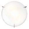 Foto para 180w (3 x 60) Zenon E-26 A-19 Incandescent Damp Location Brushed Steel Opal Flush-Mount