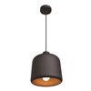 Foto para 60w 800lm 27k Nostalgia E-26 Incandescent Dry Location Matte Black Matte Gold 1-Light Pendant 10.5"Ø10" (OA HT 131")