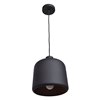 Foto para 60w 800lm 27k Nostalgia E-26 Incandescent Dry Location Matte Black Matte Gold 1-Light Pendant 10.5"Ø10" (OA HT 131")