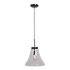 Foto para 60w 800lm 27k Simplicite E-26 Incandescent Dry Location Black Chrome Clear 1-Light Bell Glass Pendant (OA HT 131") (CAN 1.5"Ø5.13")