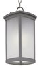 Foto para Terrace EE 1-Light Outdoor Hanging Lantern PL Frosted Seedy GU24 Fluorescent