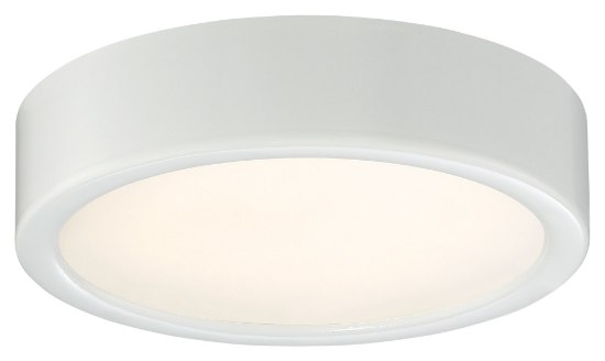 Foto para 12w WW Flush Mount White Clear Glass