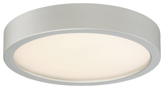 Foto para 17w WW Flush Mount Silver Clear Glass