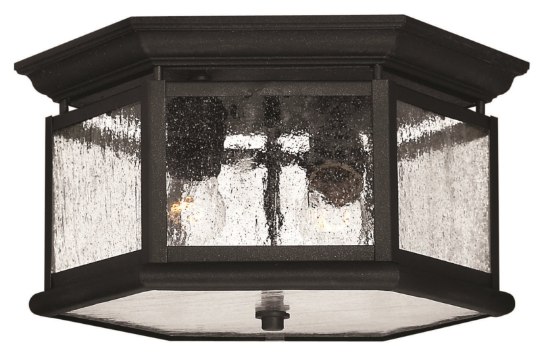 Foto para 60w Outdoor Edgewater MED Clear Seedy Panels Black Flush Mount