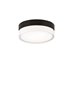 Foto para 80w Cirque Satin Nickel Cirque Ceiling large, sn