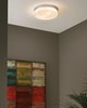 Foto para 20w Cirque Satin Nickel Cirque Ceiling Large, sn-LED3-277