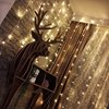 Foto para 9.8 x 6.6 ft (3 x 2 m) 300-Light Decorative Outdoor/Indoor WW Controllable LED String Light