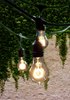 Foto para 48' (14.6m) 15-Light Nostalgic Spiral A19 E26 Kit Incandescent Outdoor/Indoor String Light