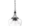 Foto para 15" Octave Black 3-Light E26 Pendant