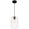 Foto para 7" Clarity Clear Cylinder Black T10 E26 Pendant