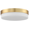 Foto para 11" Roma Antique Brushed Brass LED Flush Mount