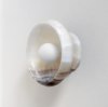 Foto para 10" Piedra Tala B+W Onyx Brushed Brass 1-Light Sconce